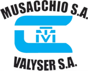 logo-valyser-negro